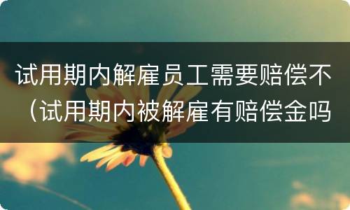试用期内解雇员工需要赔偿不（试用期内被解雇有赔偿金吗）