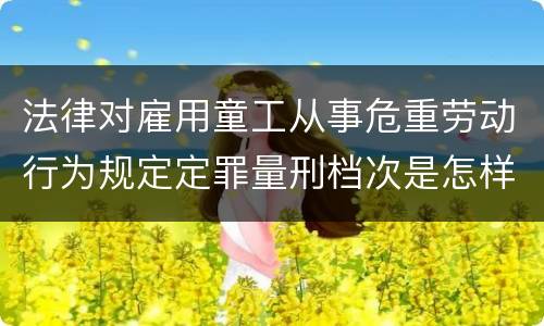 法律对雇用童工从事危重劳动行为规定定罪量刑档次是怎样