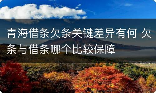 青海借条欠条关键差异有何 欠条与借条哪个比较保障
