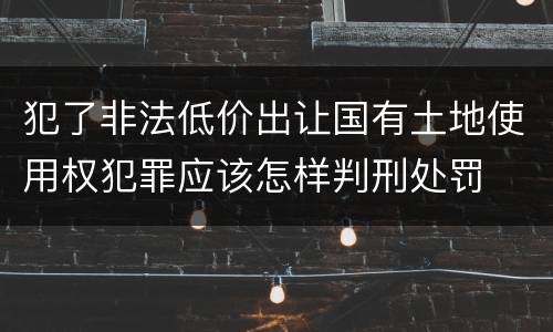 犯了非法低价出让国有土地使用权犯罪应该怎样判刑处罚