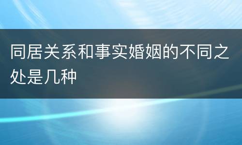 同居关系和事实婚姻的不同之处是几种