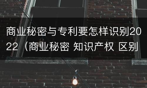 商业秘密与专利要怎样识别2022（商业秘密 知识产权 区别）