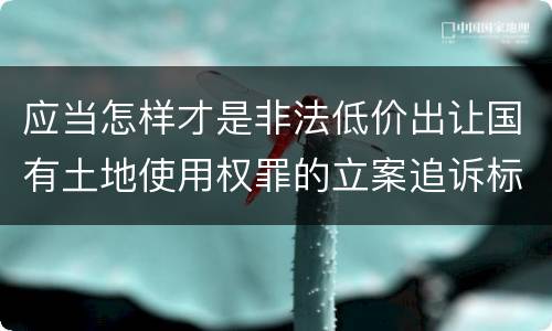 应当怎样才是非法低价出让国有土地使用权罪的立案追诉标准