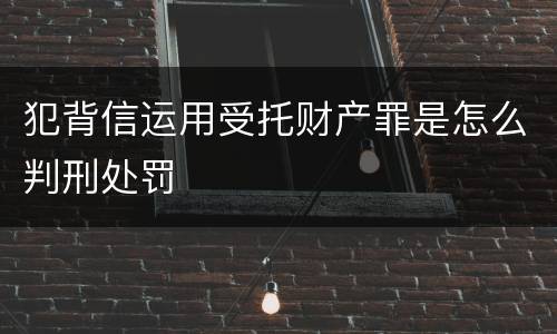 犯背信运用受托财产罪是怎么判刑处罚