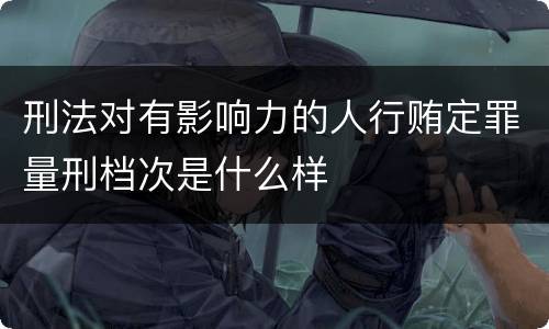 刑法对有影响力的人行贿定罪量刑档次是什么样