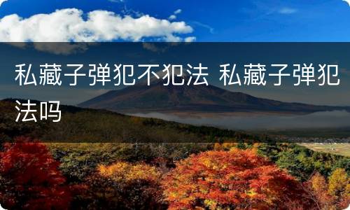 私藏子弹犯不犯法 私藏子弹犯法吗