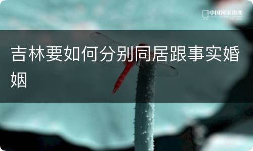吉林要如何分别同居跟事实婚姻