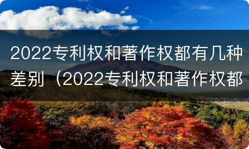 2022专利权和著作权都有几种差别（2022专利权和著作权都有几种差别呢）