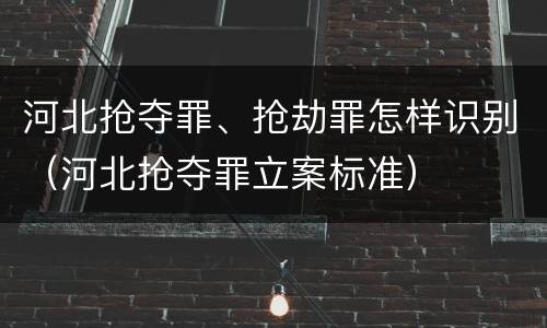 河北抢夺罪、抢劫罪怎样识别（河北抢夺罪立案标准）