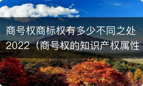 商号权商标权有多少不同之处2022（商号权的知识产权属性）