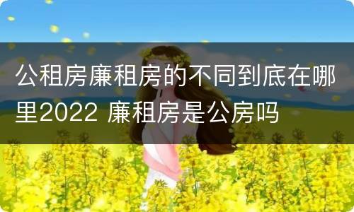 公租房廉租房的不同到底在哪里2022 廉租房是公房吗