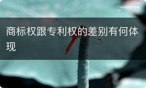 商标权跟专利权的差别有何体现