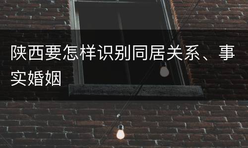 陕西要怎样识别同居关系、事实婚姻