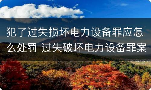 犯了过失损坏电力设备罪应怎么处罚 过失破坏电力设备罪案例