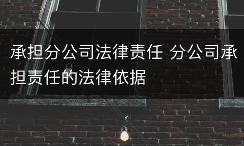 承担分公司法律责任 分公司承担责任的法律依据