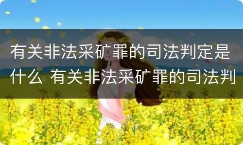 有关非法采矿罪的司法判定是什么 有关非法采矿罪的司法判定是什么意思