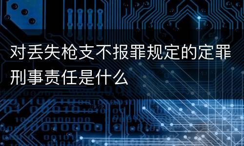 对丢失枪支不报罪规定的定罪刑事责任是什么