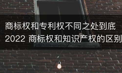 商标权和专利权不同之处到底2022 商标权和知识产权的区别