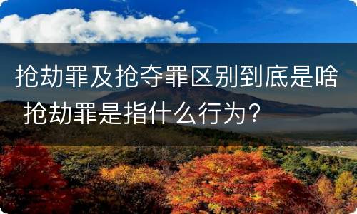 抢劫罪及抢夺罪区别到底是啥 抢劫罪是指什么行为?