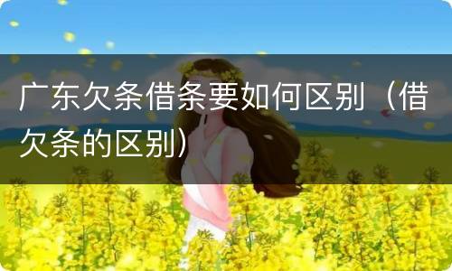广东欠条借条要如何区别（借欠条的区别）