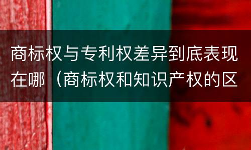 商标权与专利权差异到底表现在哪（商标权和知识产权的区别）