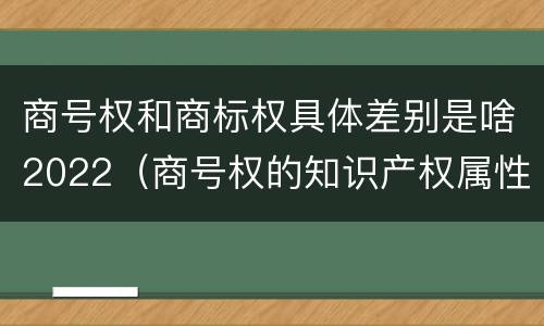 商号权和商标权具体差别是啥2022（商号权的知识产权属性）