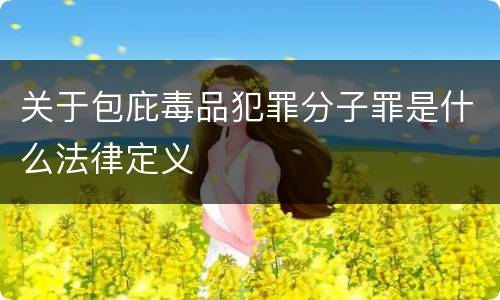 关于包庇毒品犯罪分子罪是什么法律定义