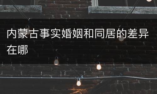 内蒙古事实婚姻和同居的差异在哪