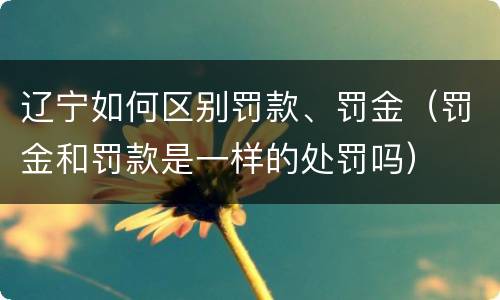 辽宁如何区别罚款、罚金（罚金和罚款是一样的处罚吗）