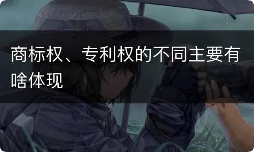 商标权、专利权的不同主要有啥体现