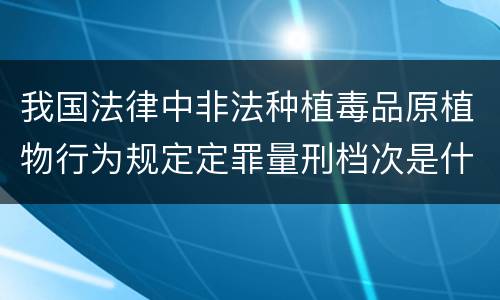 我国法律中非法种植毒品原植物行为规定定罪量刑档次是什么