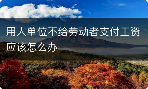 用人单位不给劳动者支付工资应该怎么办