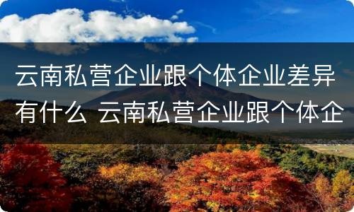 云南私营企业跟个体企业差异有什么 云南私营企业跟个体企业差异有什么影响