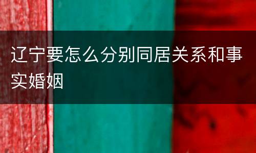 辽宁要怎么分别同居关系和事实婚姻
