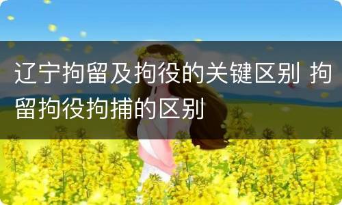 辽宁拘留及拘役的关键区别 拘留拘役拘捕的区别