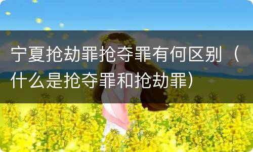 宁夏抢劫罪抢夺罪有何区别（什么是抢夺罪和抢劫罪）