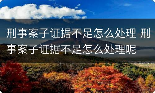 刑事案子证据不足怎么处理 刑事案子证据不足怎么处理呢