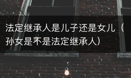 法定继承人是儿子还是女儿（孙女是不是法定继承人）