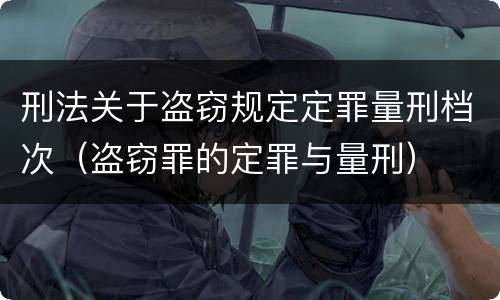 刑法关于盗窃规定定罪量刑档次（盗窃罪的定罪与量刑）