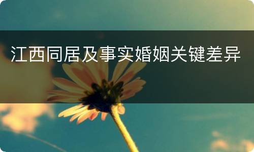 江西同居及事实婚姻关键差异