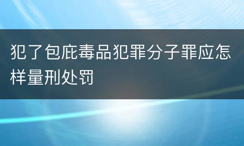 犯了包庇毒品犯罪分子罪应怎样量刑处罚