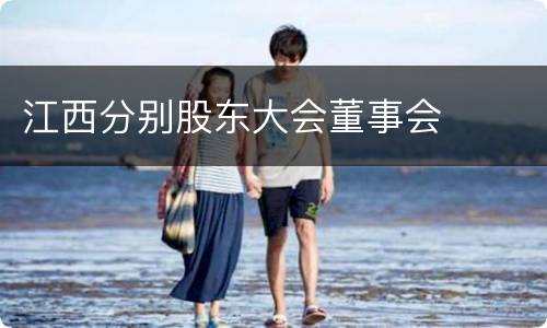 江西分别股东大会董事会