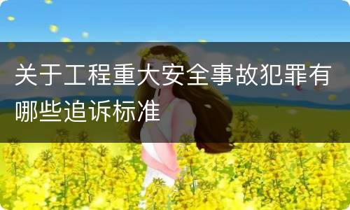 关于工程重大安全事故犯罪有哪些追诉标准