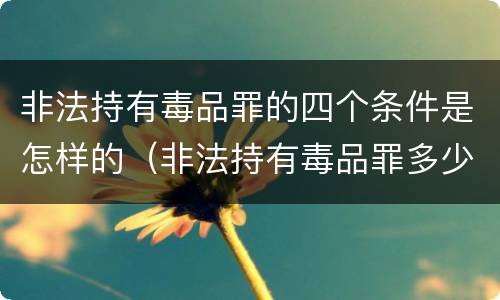 非法持有毒品罪的四个条件是怎样的（非法持有毒品罪多少条）