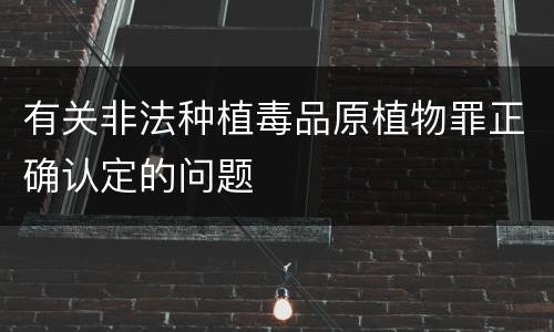 有关非法种植毒品原植物罪正确认定的问题