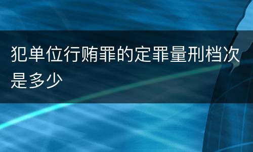 犯单位行贿罪的定罪量刑档次是多少