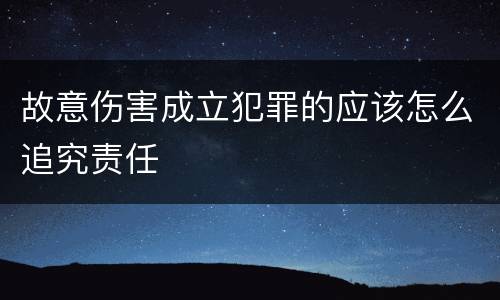 故意伤害成立犯罪的应该怎么追究责任