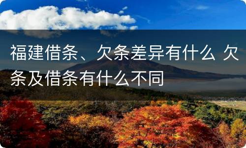 福建借条、欠条差异有什么 欠条及借条有什么不同