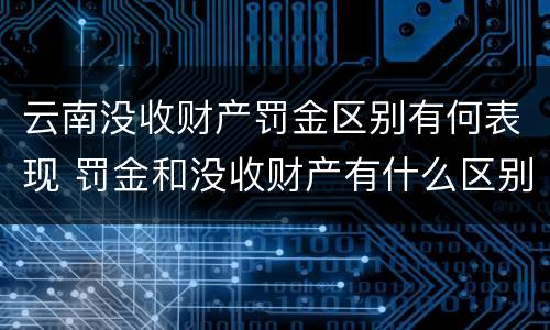 云南没收财产罚金区别有何表现 罚金和没收财产有什么区别