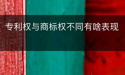 专利权与商标权不同有啥表现